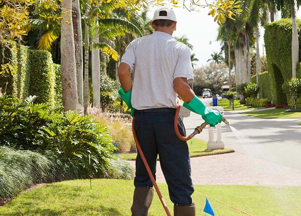 About Lowville NY Pest Control